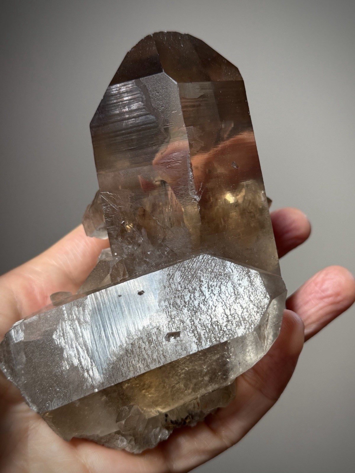 Diamantina Quartz Crystal Starbrary Quartz Natural Smoky Quartz Brazil Crystal