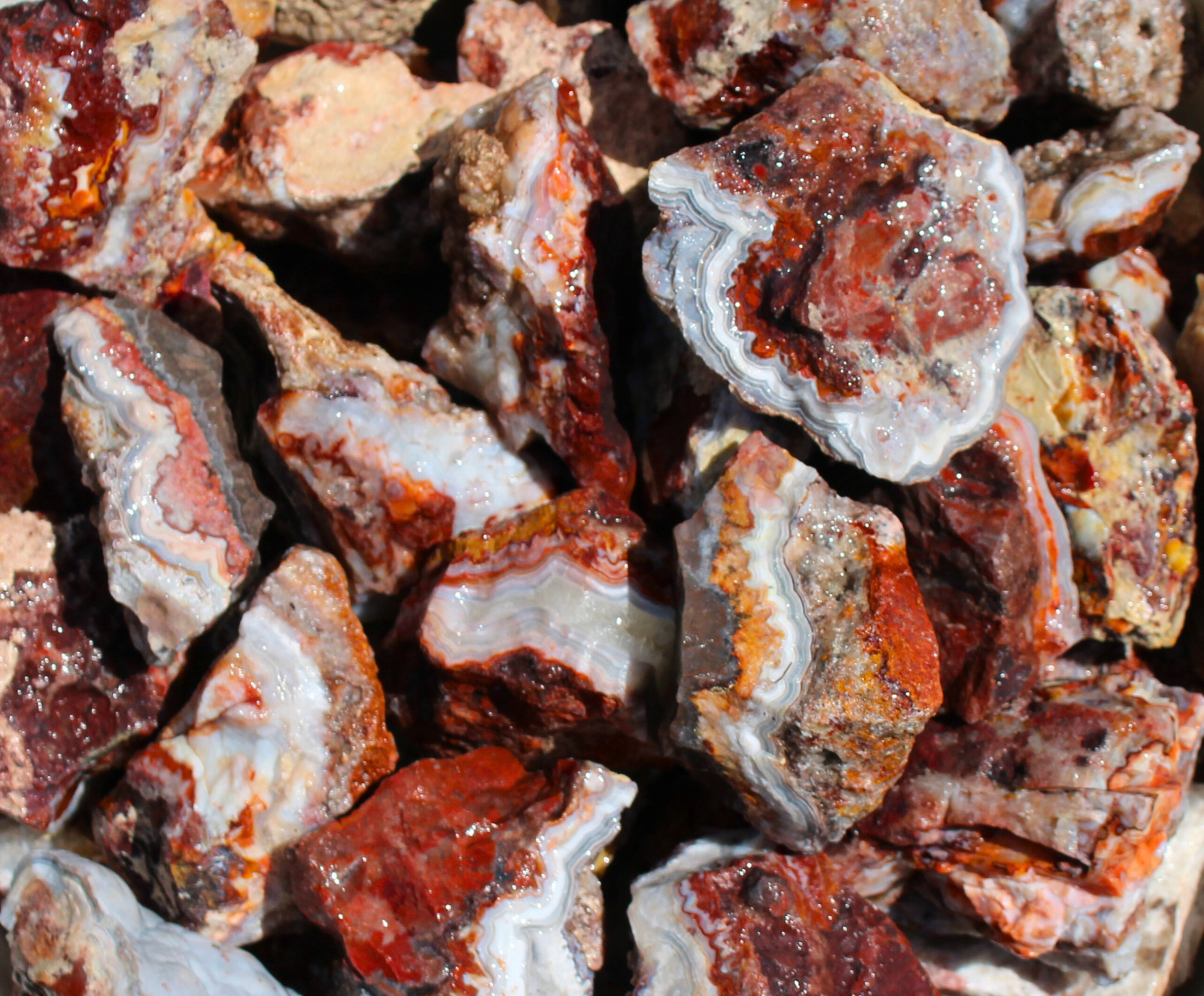 Mexican Lace Agate – Rough Rocks for Tumbling from Mexico – Bulk Wholesale