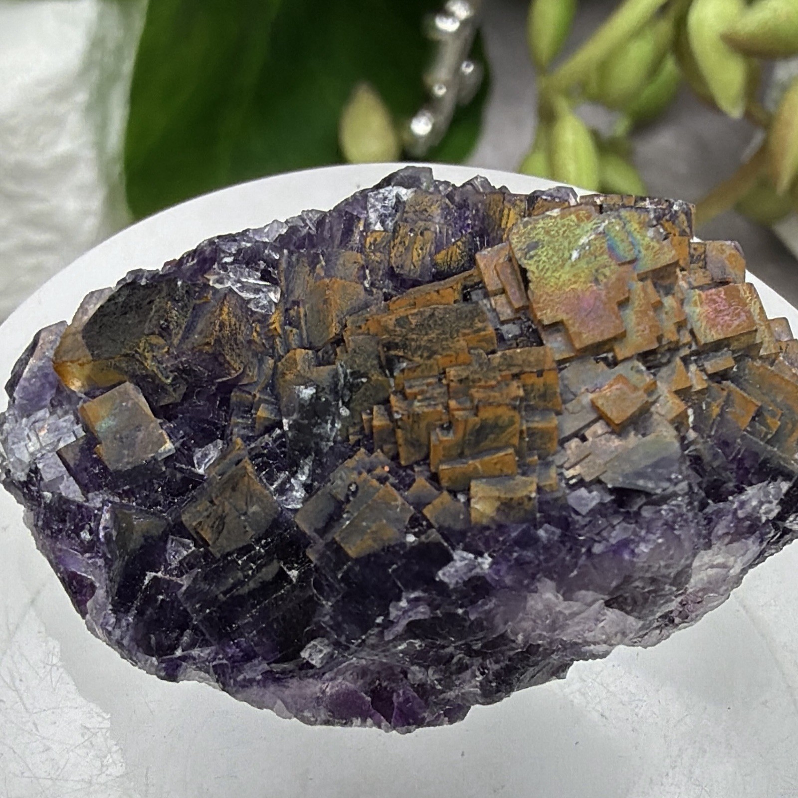 Crystal 25g Rainbow Covered Purple Fluorite UV Reactive Cluster Specimen Mineral