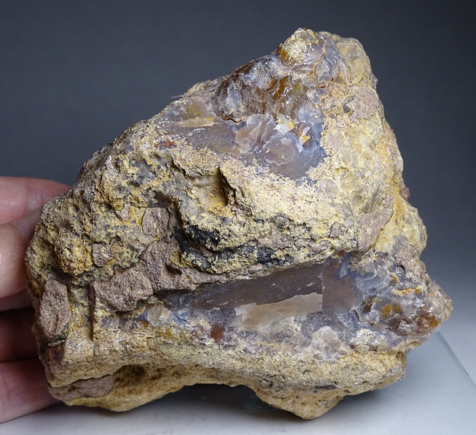 Coyamito Agate Half Nodule Mexico