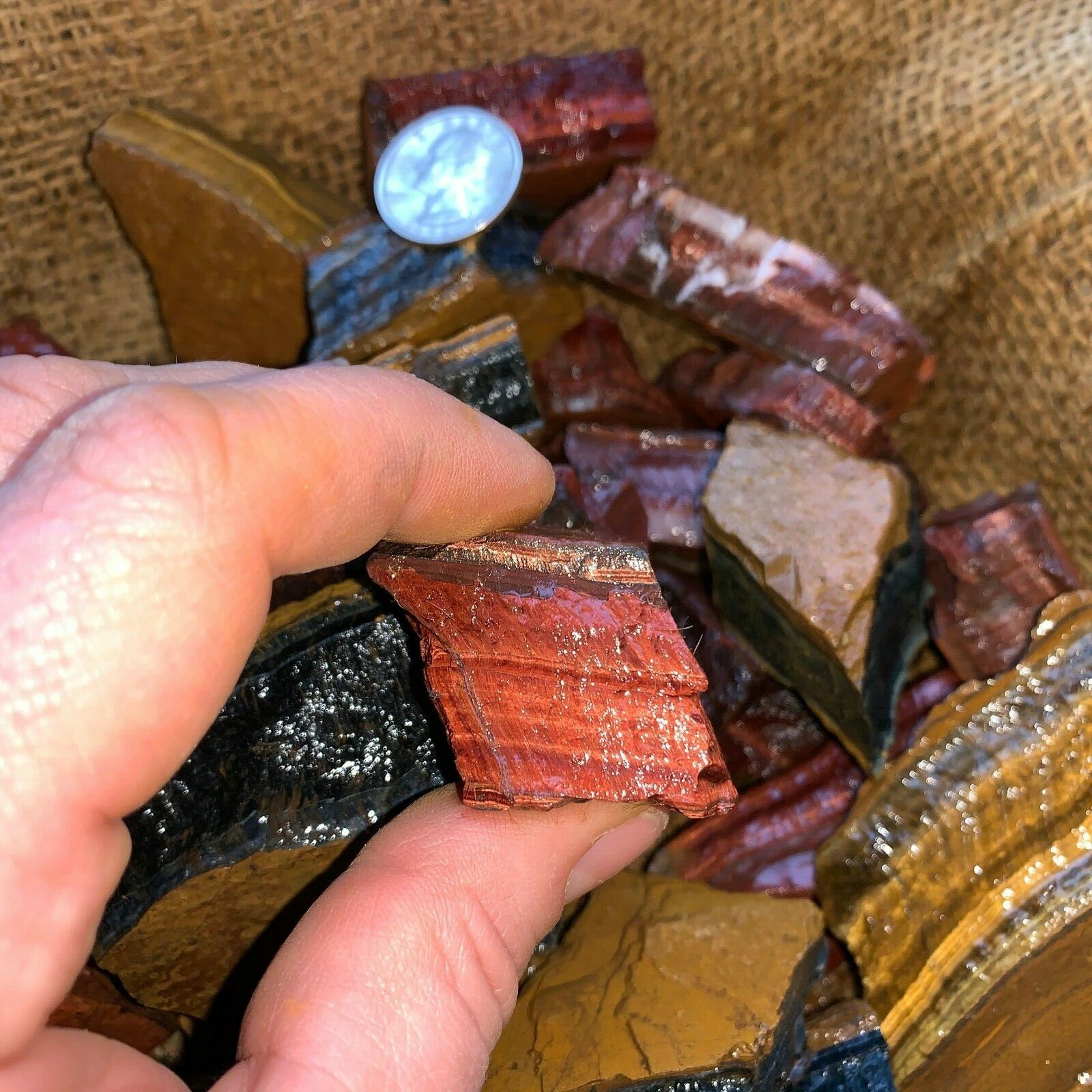 MIXED Tiger Eye Rough (RED, BLUE, GOLD)- 1000 Carat Lots+a FREE Faceted Gemstone