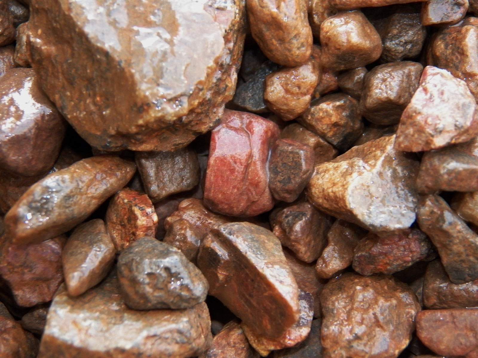 500 Carat Lots of Ruby Rough – Plus a FREE Faceted Gemstone