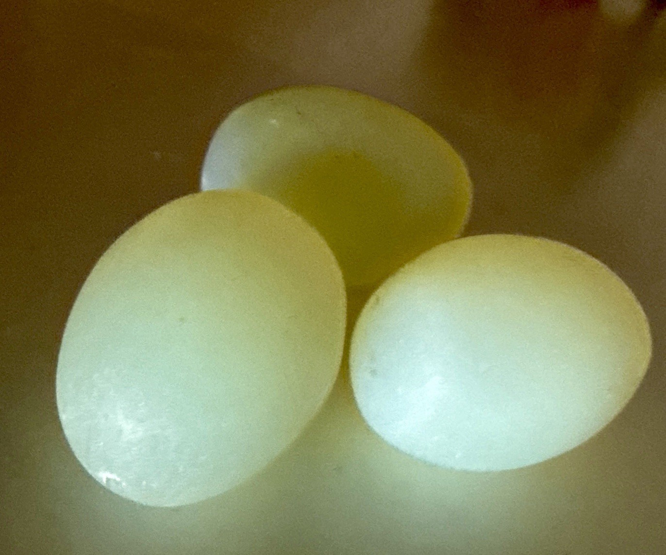 Lot of 3 Opalite Eggs 1-2 Inches Wide Farmhouse Chicken Decor