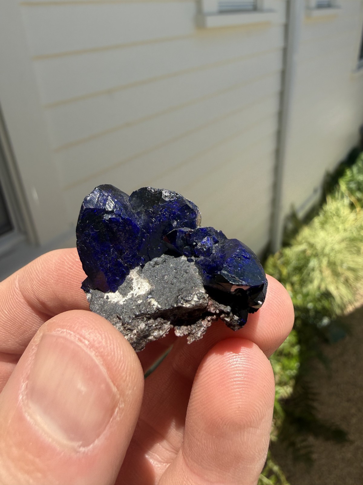 Azurite on matrix from Milpillas Mine, Mexico