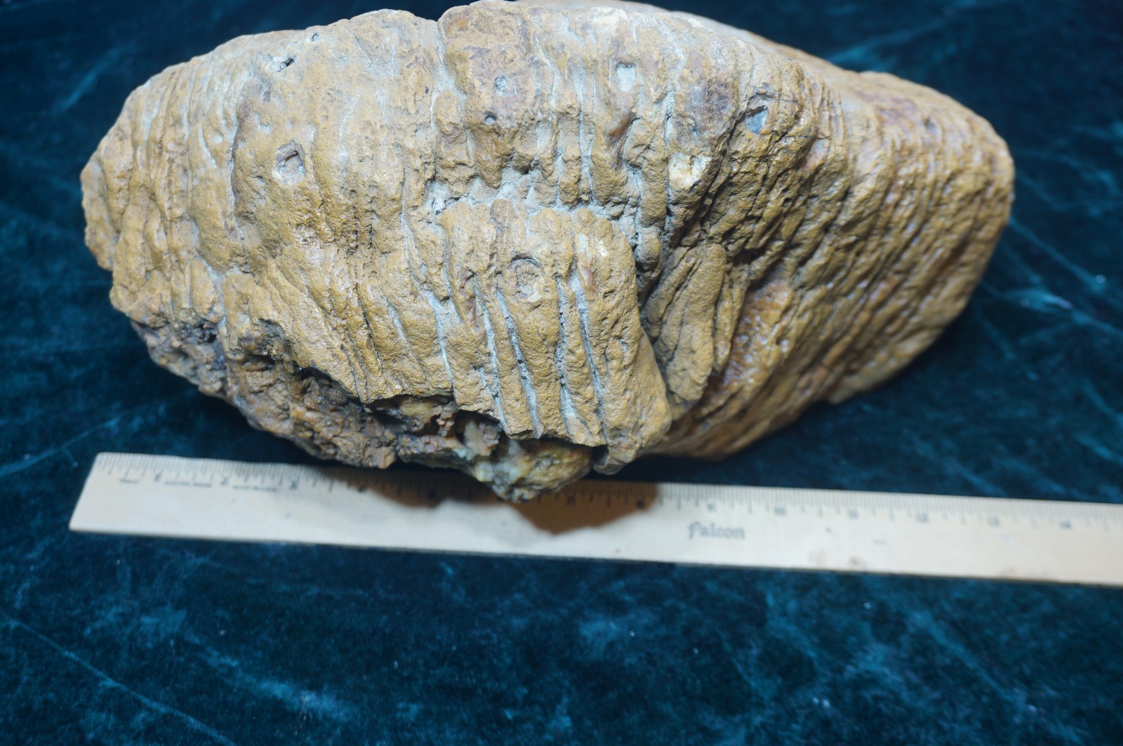 HUGE 30 Lbs. Kentucky Geode