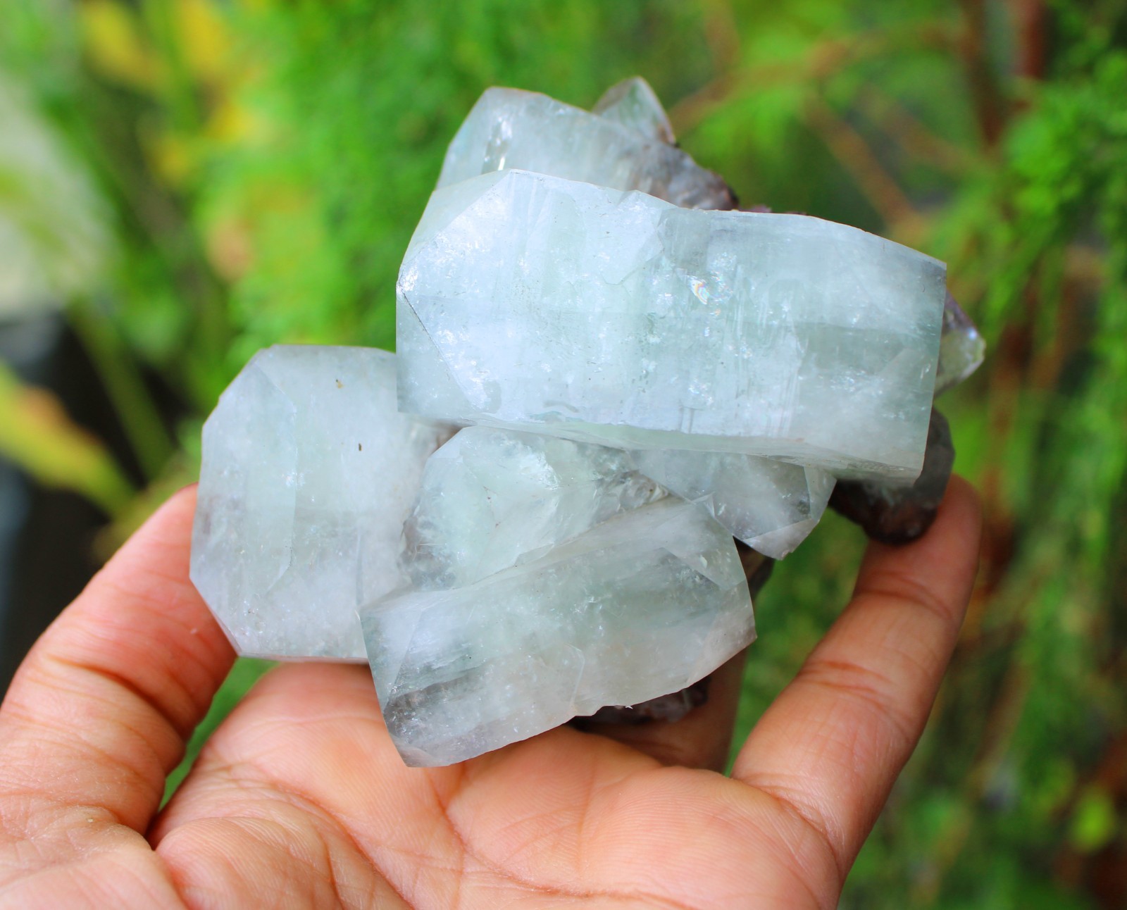 GREEN APOPHYLLITE CRYSTALS MINERALS SPECIMEN