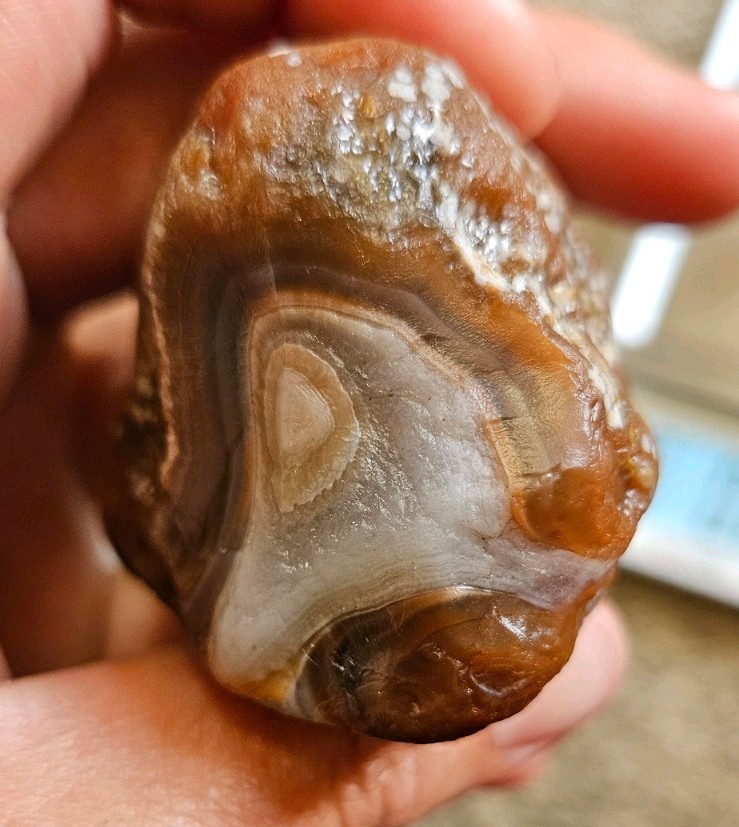 Lake Superior Agate Rough Brown Red and White Banded Stone 6.18 oz