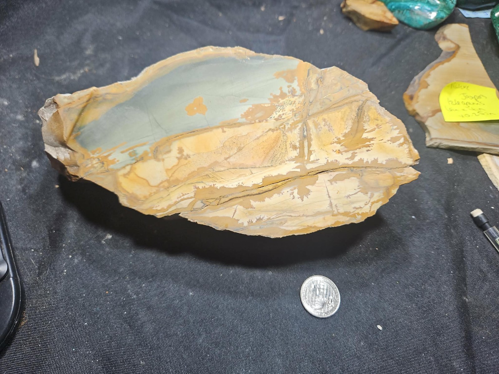 Oregon Picture Jasper Specimen (3lbs 4oz) Measures 8 in x 4 in x 3 in