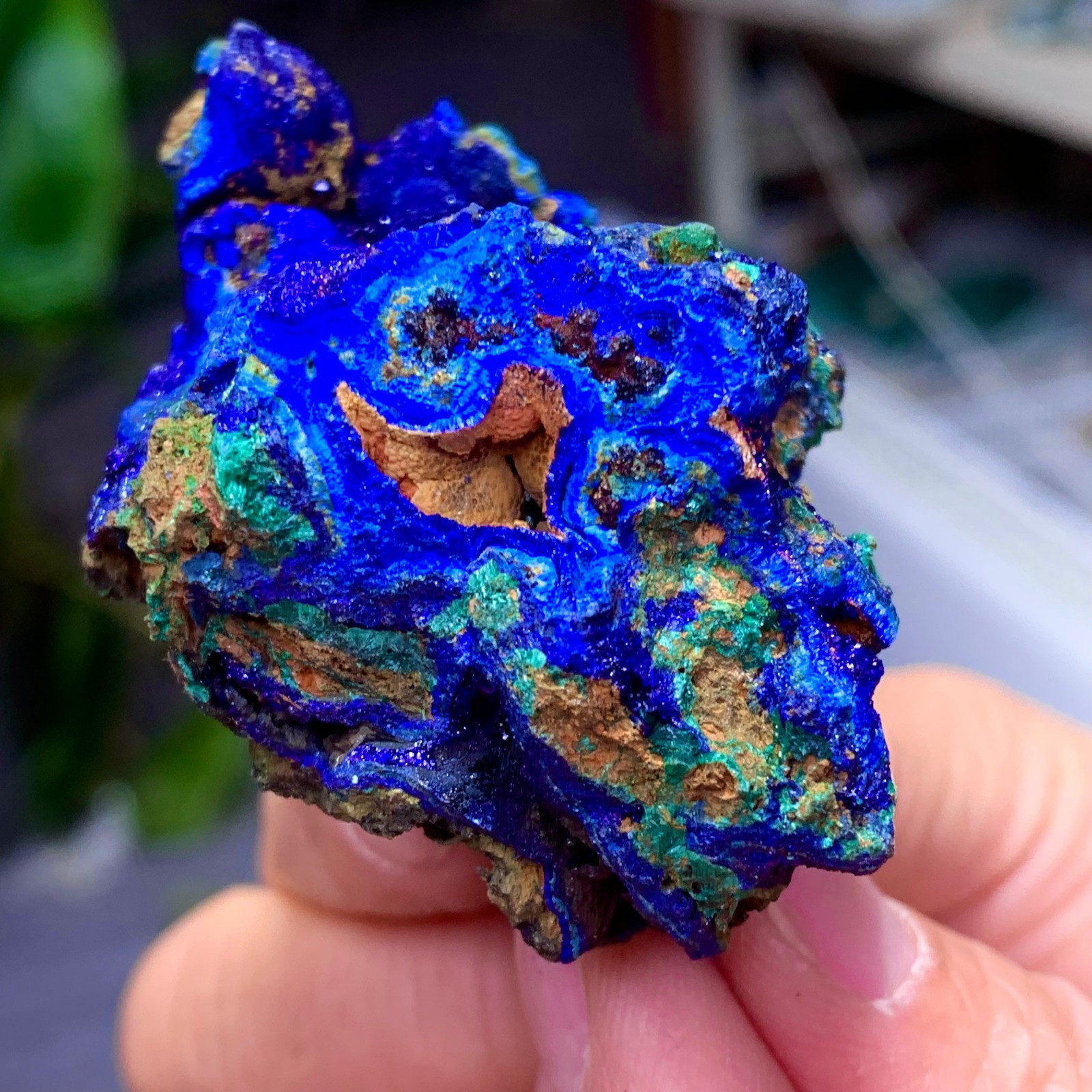 102G BEST Natural Azurite/Malachite crystal minerals specimens