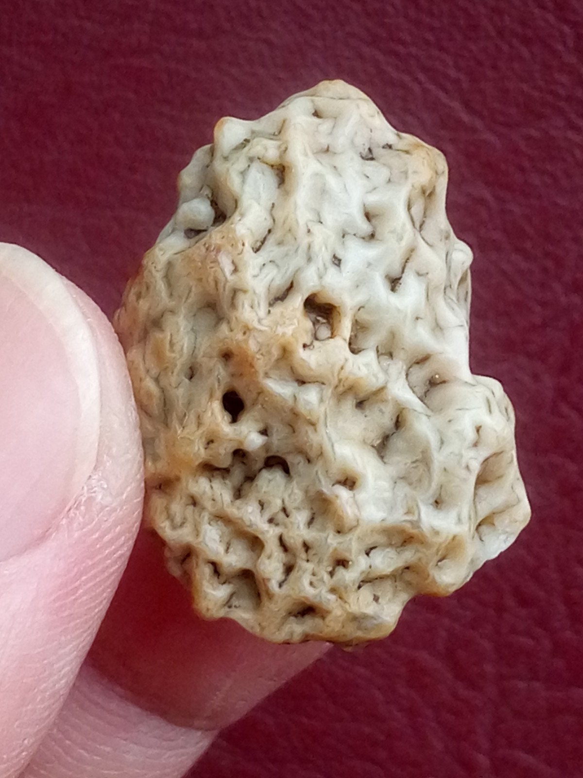 5 pieces Beautiful Natural GoBi agate veins agate Landscape stone