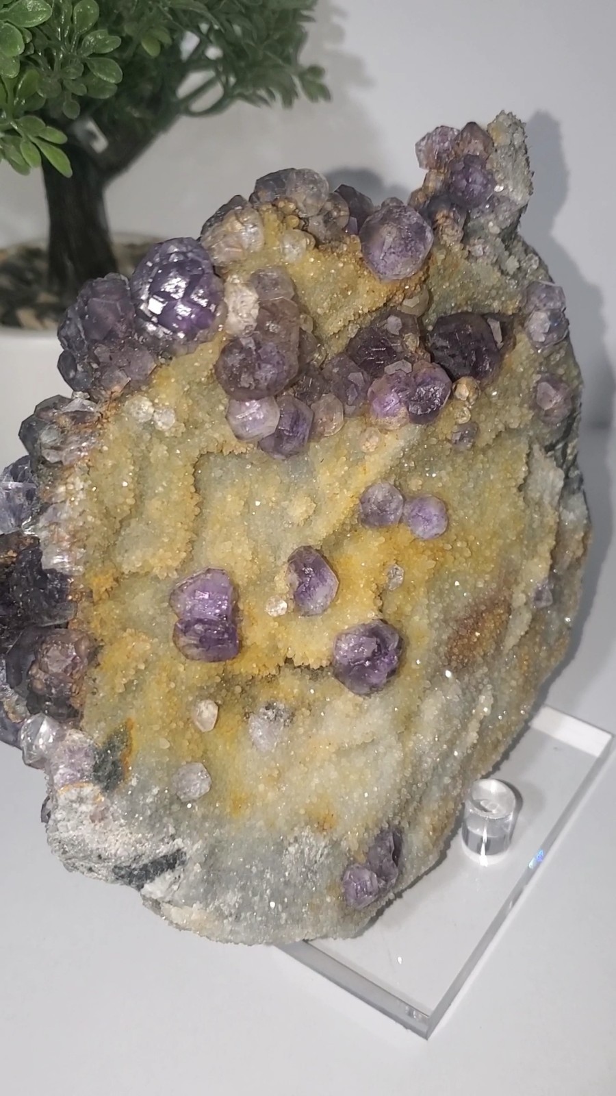 Tanzanite Fluorite On tan-colored quartz-rich matrix Statement PEACE 1KG 210G