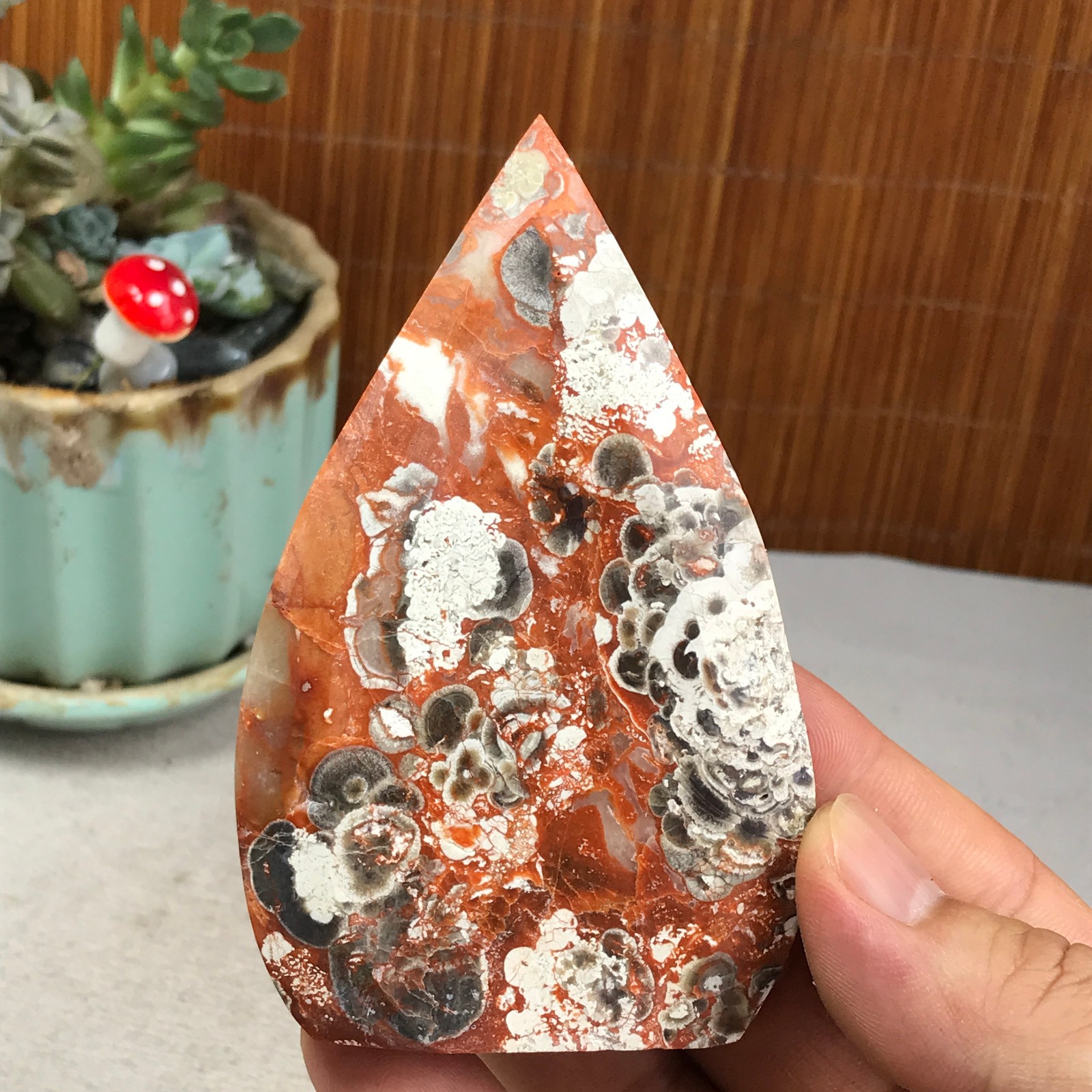 Natural money Mexico agate hand carve leaf Crystal Specimen free standing A6266