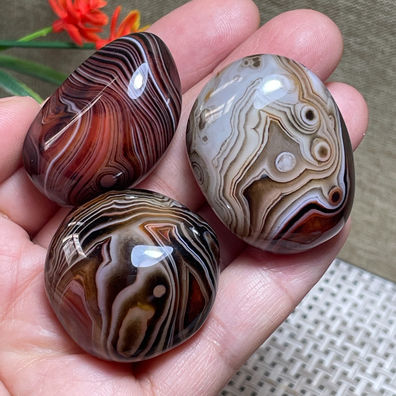 3pcs Crazy Lace SILK Banded Agate Polished Tumbled Stone Madagascar Decor 84g