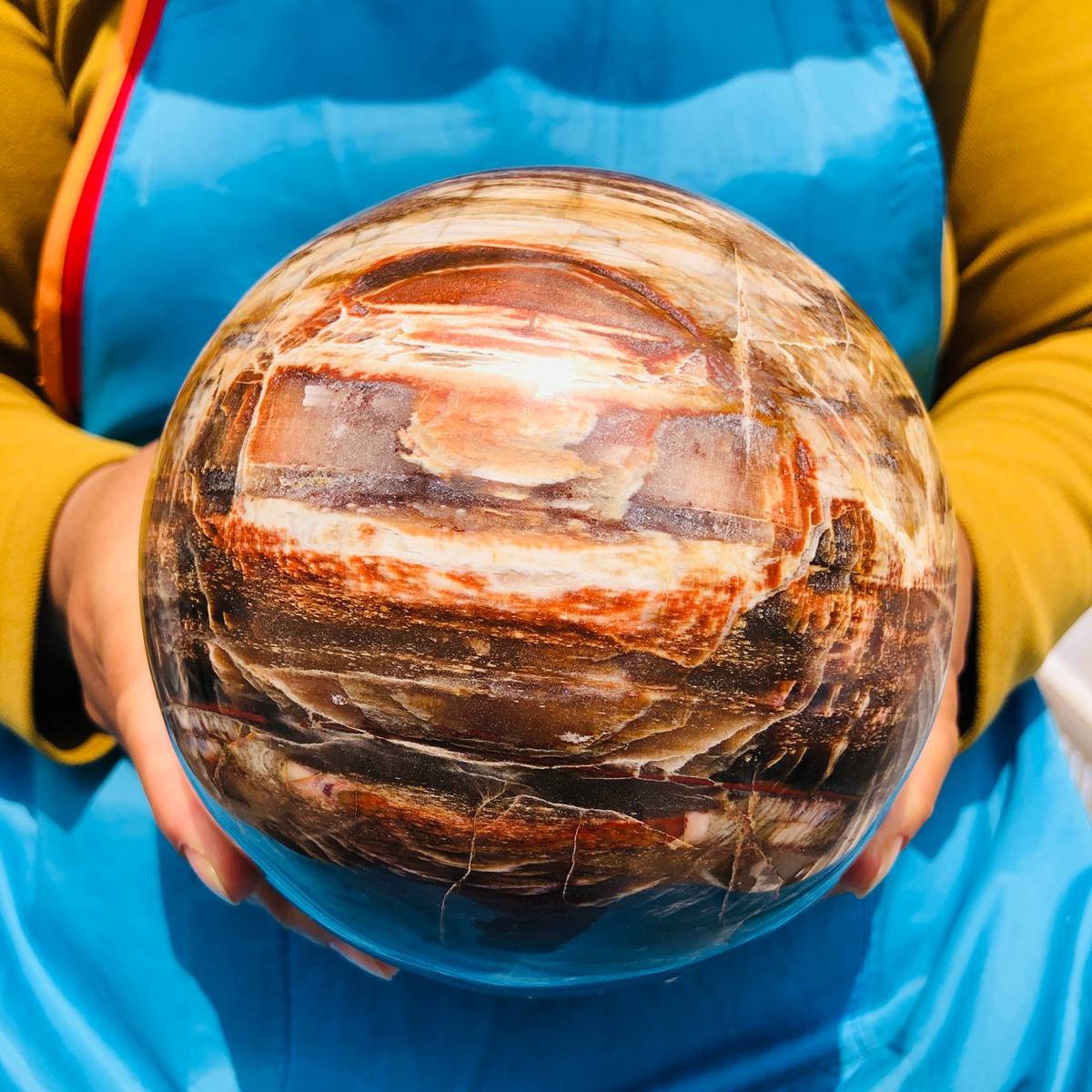 8.18LB Rare Natural Petrified Wood Ball Crystal Quartz Mineral Healing 4698