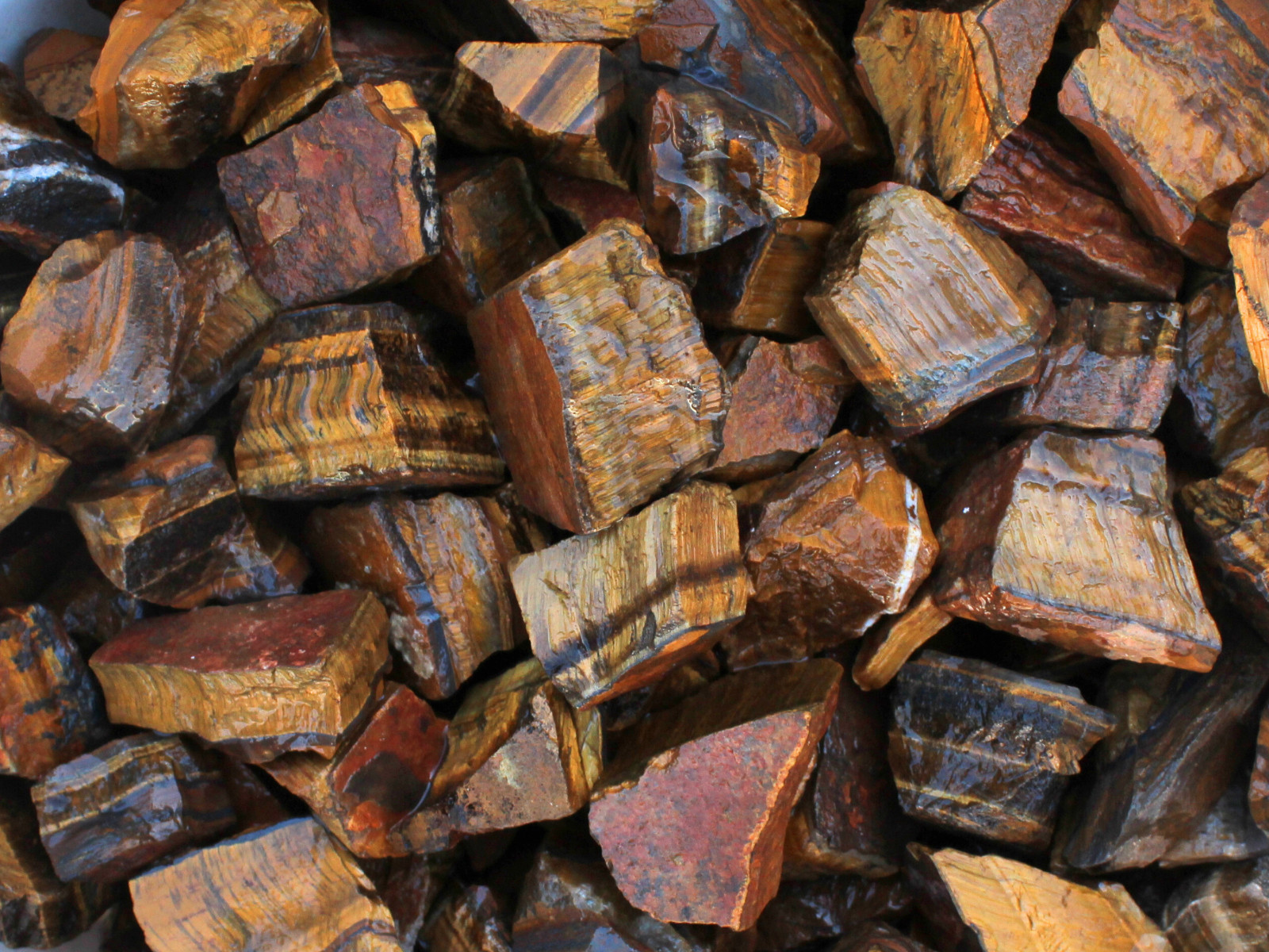 Gold Tiger’s Eye – Rough Rocks for Tumbling – Bulk Wholesale 1LB options