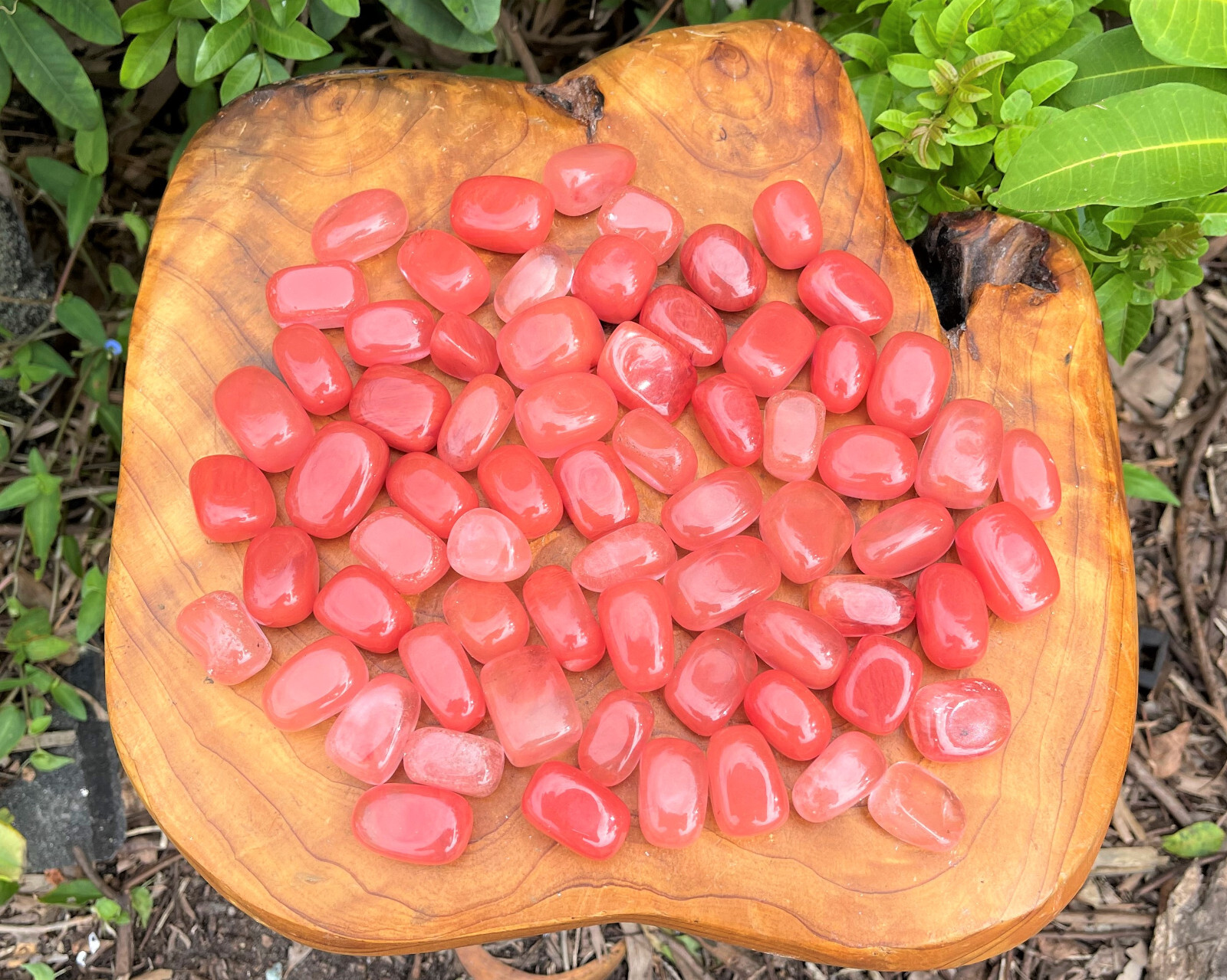 Cherry Quartz Tumbled Stones Wholesale Bulk Lots (Tumbled Strawberry Obsidian)