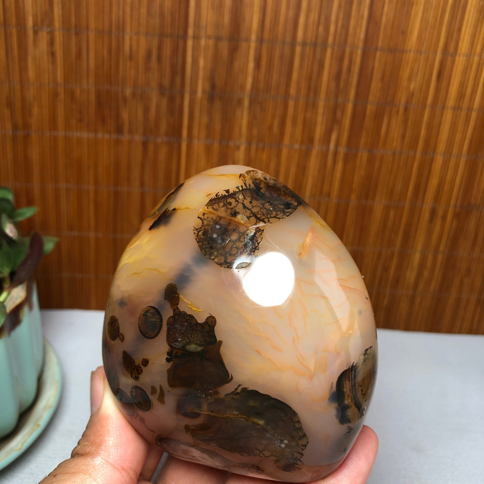 Natural aquatic plants agate pretty Crystal specimens free standing 331g A9998