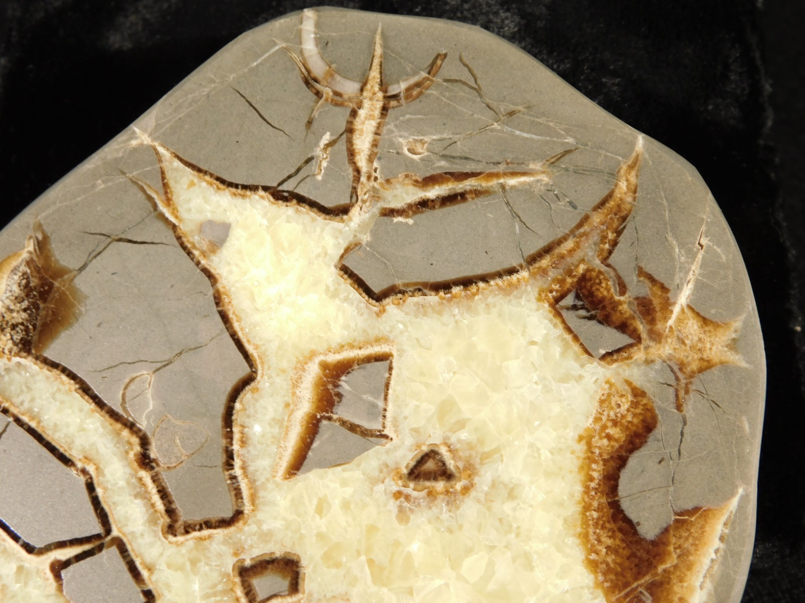 Polished FLUORESCENT SEPTARIAN Nodule Slice 100% Natural w/Stand 244gr