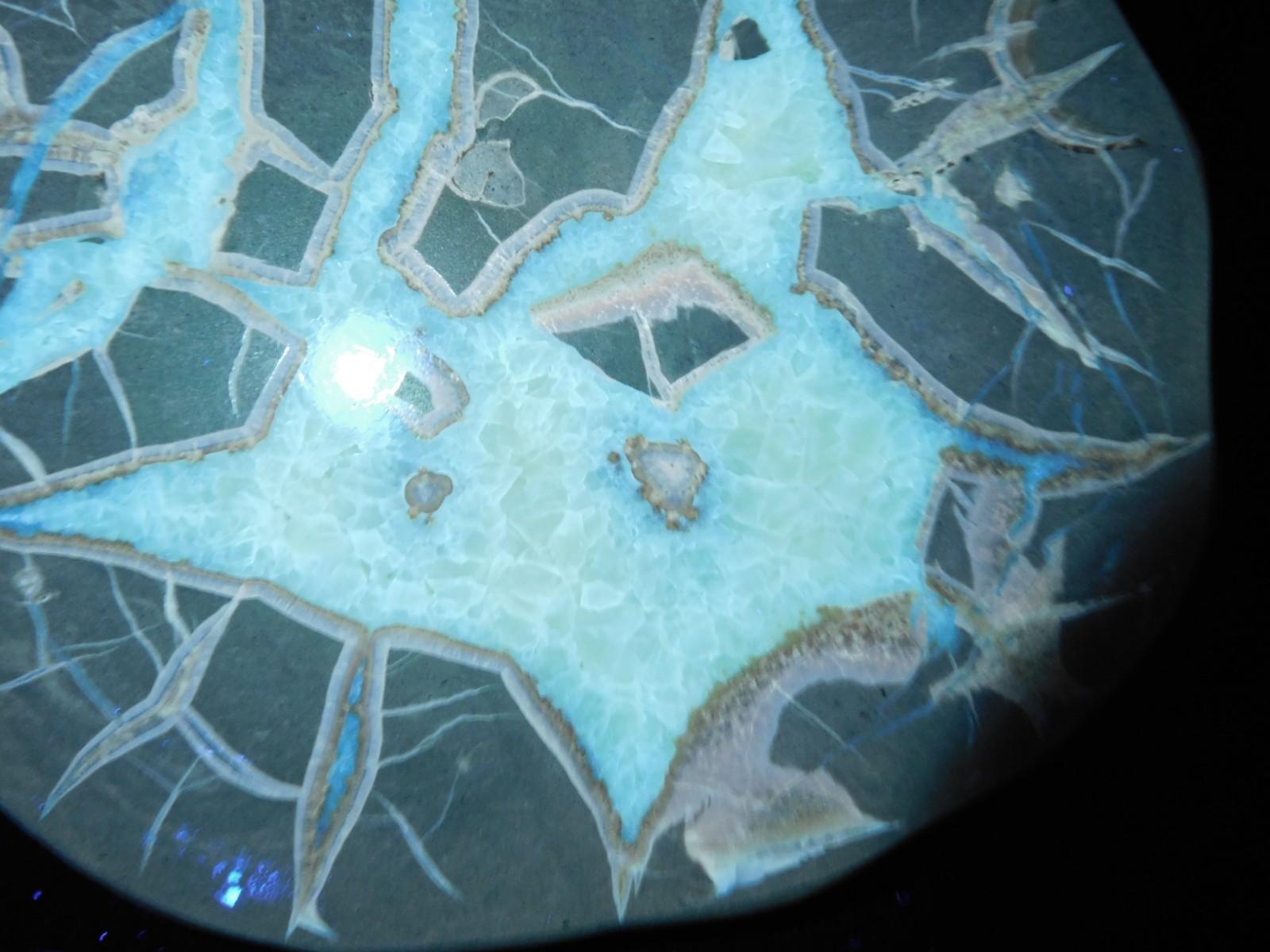 Polished FLUORESCENT SEPTARIAN Nodule Slice 100% Natural w/Stand 244gr