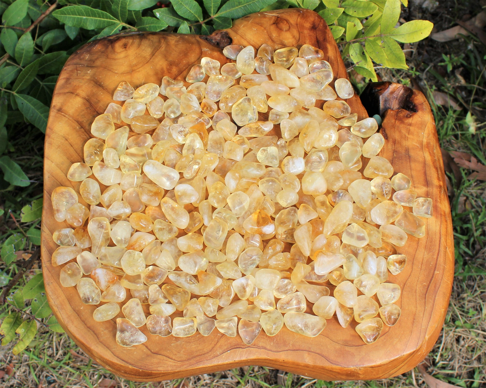 1/4 lb Bulk Citrine Tumbled Stone Crystal Healing Gemstone Chakra US Seller 4 oz