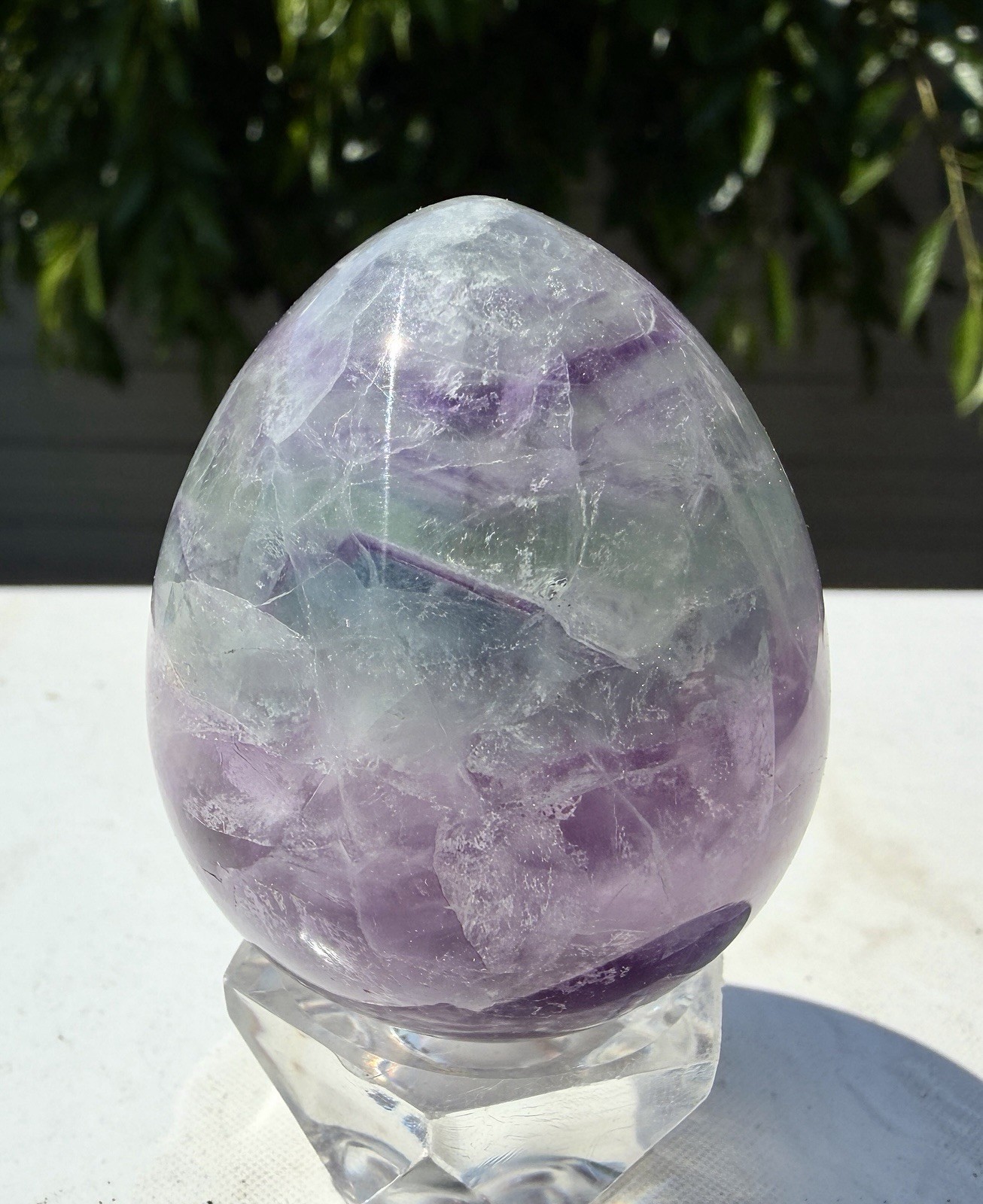 Wholesale Lot 8 Pcs Natural Fluorite Egg Crystal Healing Energy