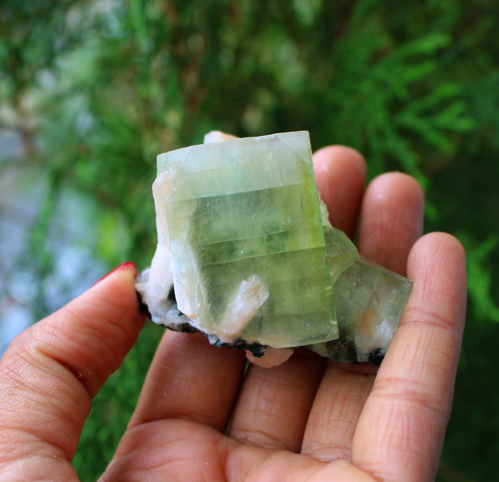 GREEN APOPHYLLITE CRYSTALS MINERALS SPECIMEN
