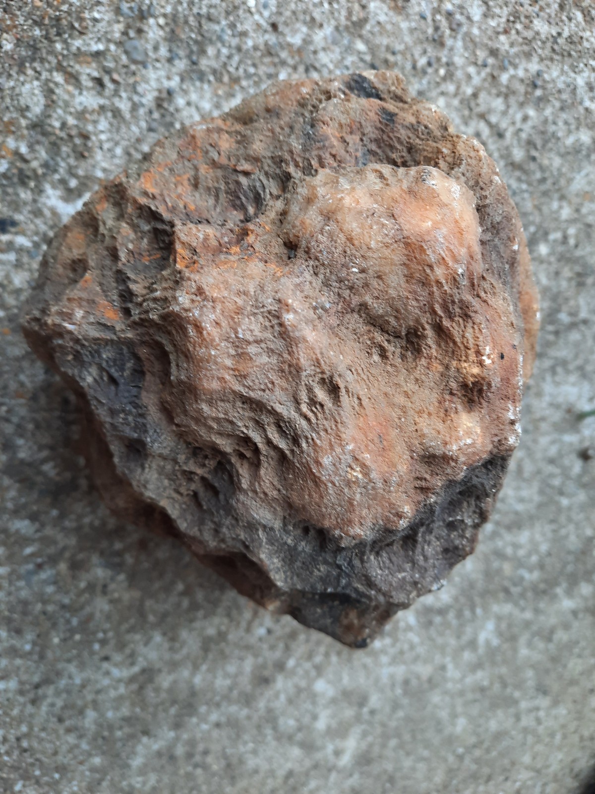 5.25″ Unopened Waxy Rattler Geode from Southern Kentucky. 3 Pounds