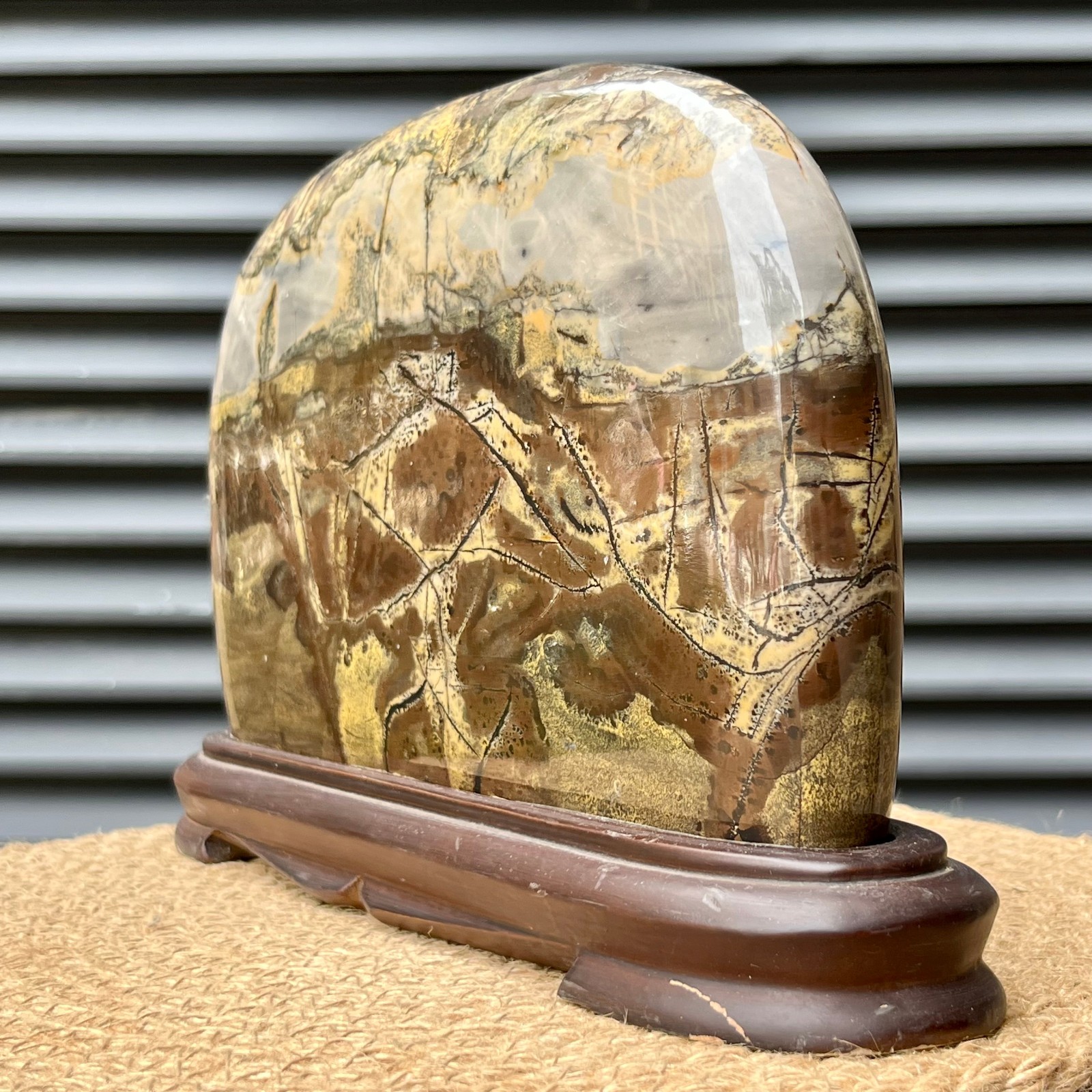 6.2 lb Natural Scenic Stone Display Polished Pattern Art w/ Wood Stand