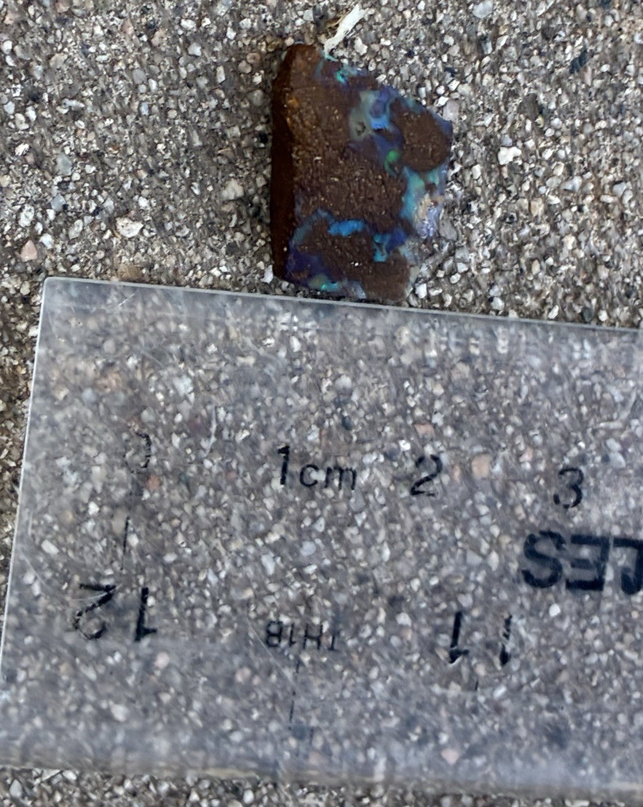 6ct Australian Small Pretty Boulder Opal Rough Loose Multicolor Specimen A21