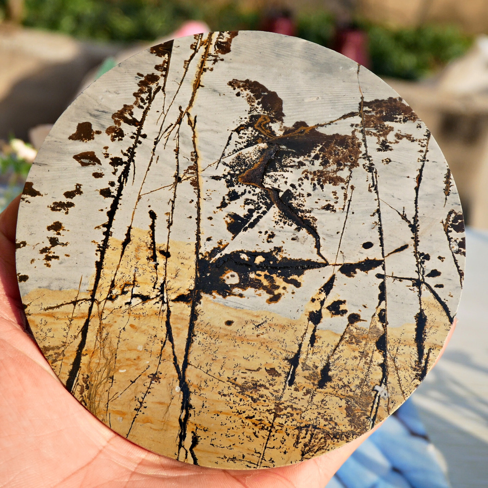 Picture Jasper Round Slice 5in Polished Landscape Stone Disc Display Shelf Decor