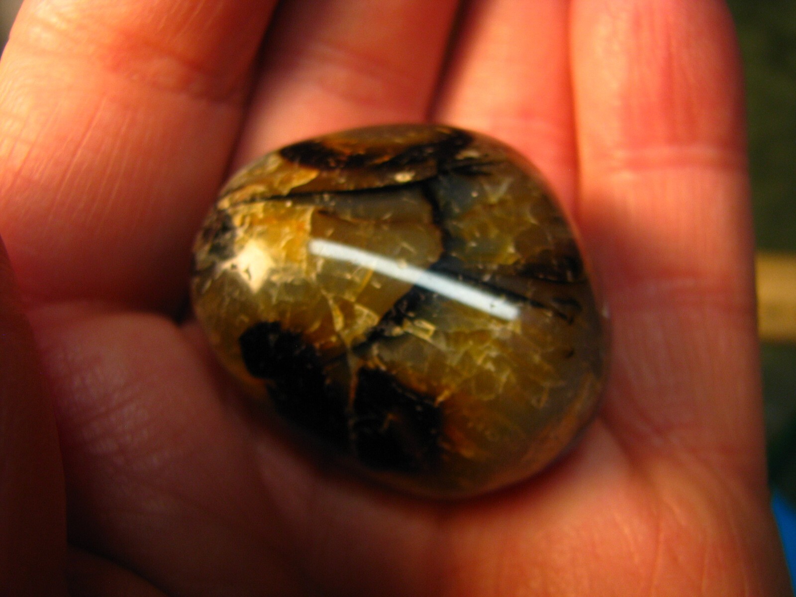 41g 40mm DENDRITIC CHALCEDONY AGATE PALM STONE MADAGASCAR MAD CRAZY LACE #014