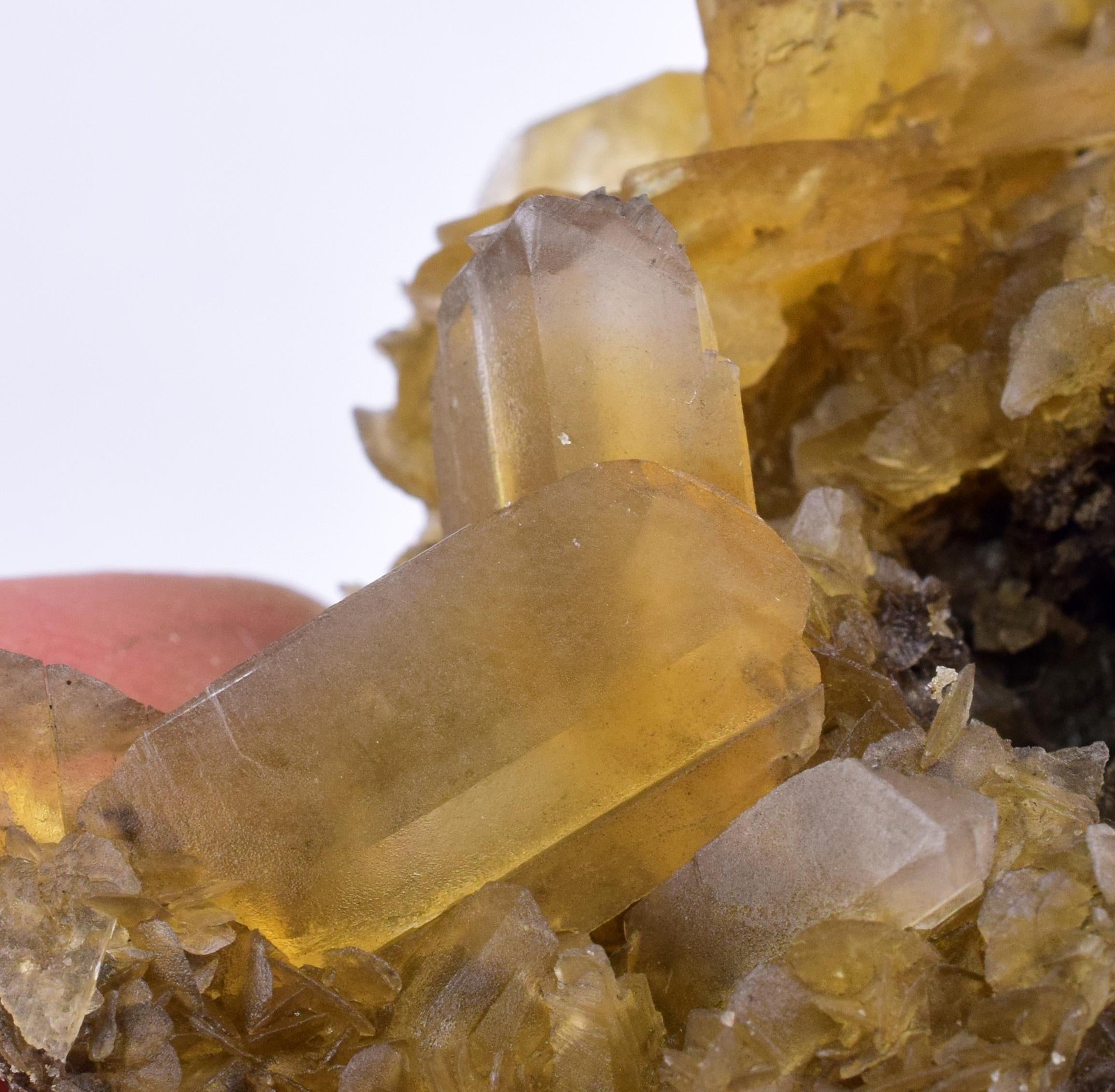 7.1cms GOLDEN SELENITE CRYSTALS Cluster Fish Tail Peru Yellow Gypsum T468