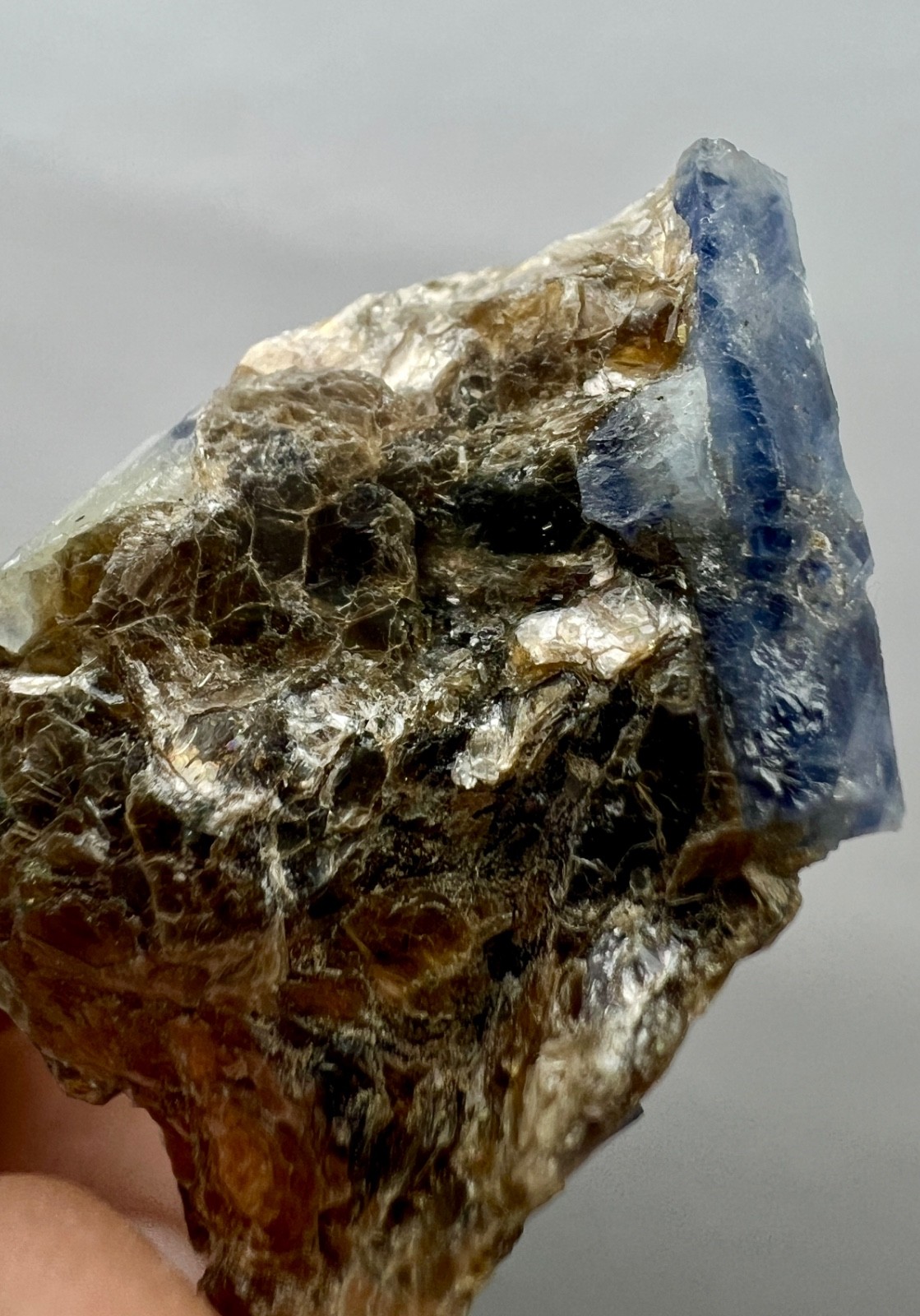 58ct.Natural Blue Sapphire Crystal Cluster on Mica Matrix – Afghanistan Specimen