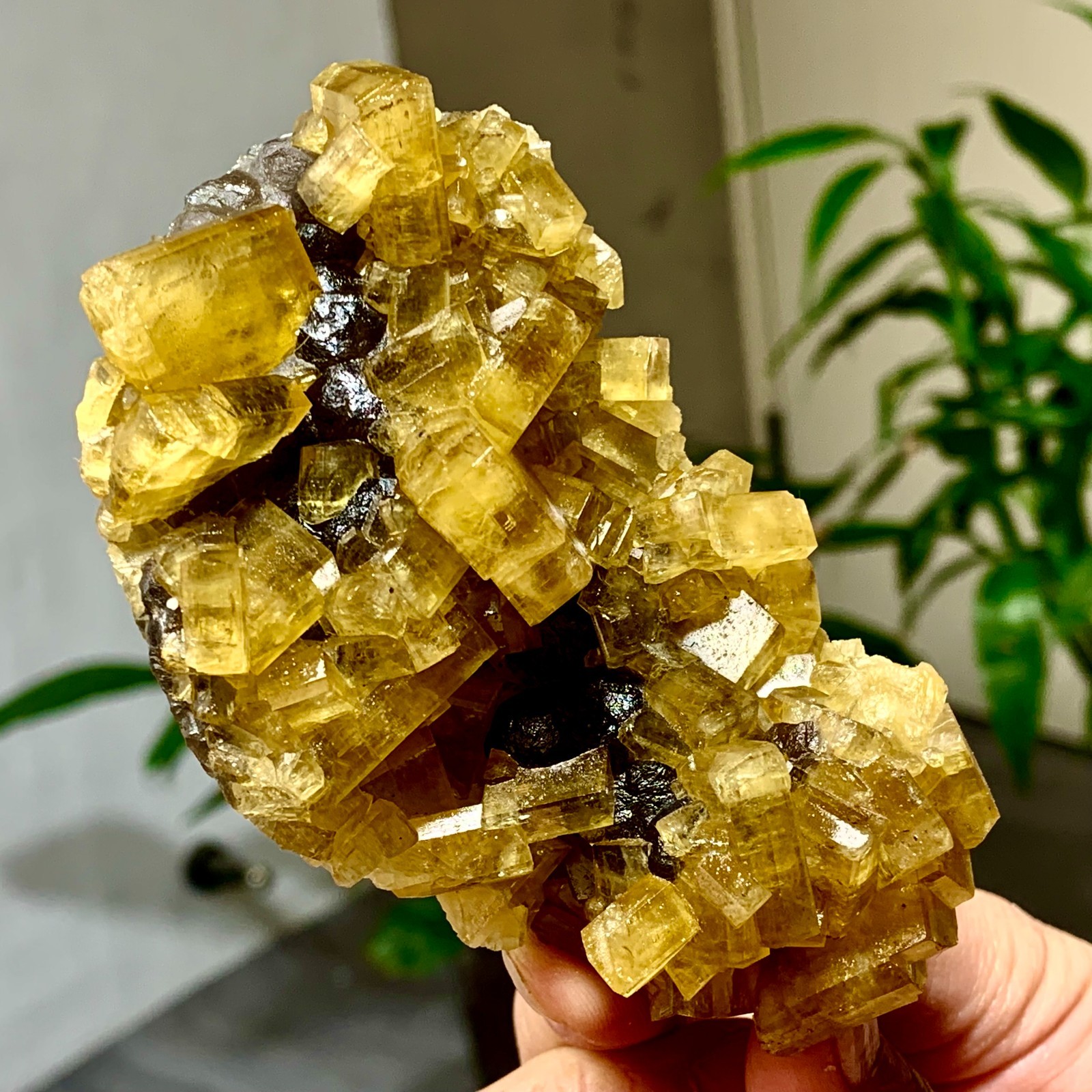 300G Shiny Golden Cuboid Barite Crystal Based on the Purple Spherical Fluorite