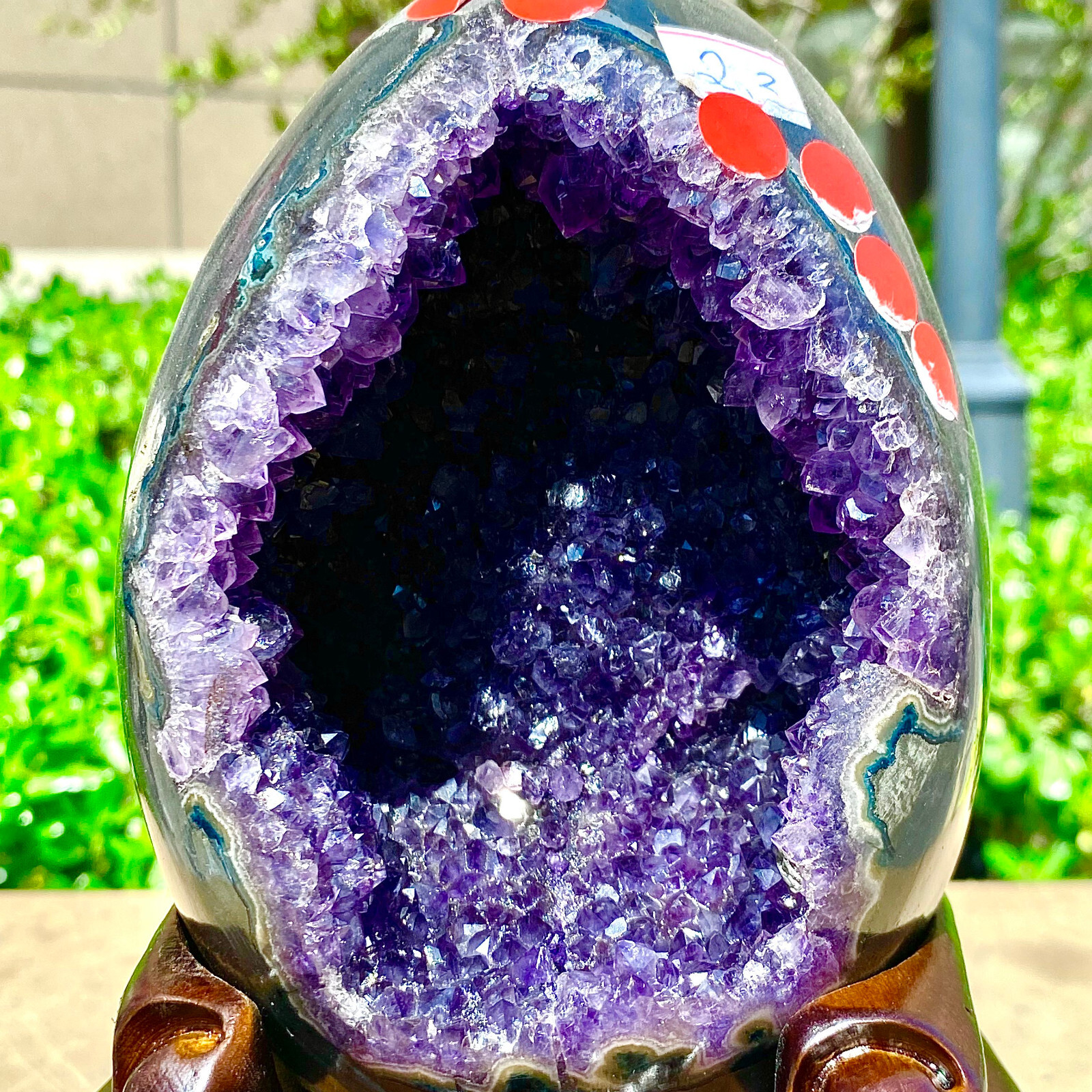 4.99LB Rare Uruguayan amethyst dragon egg cave decoration+base