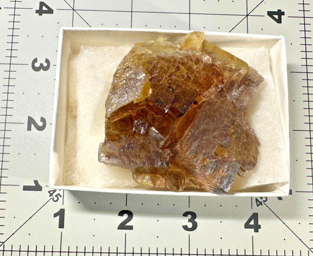 ➤ 2-1/2″ LIGHT PURPLE FLUORITE on AMBER FLUORITE Cave In Rock Illinois VIDEO➤473