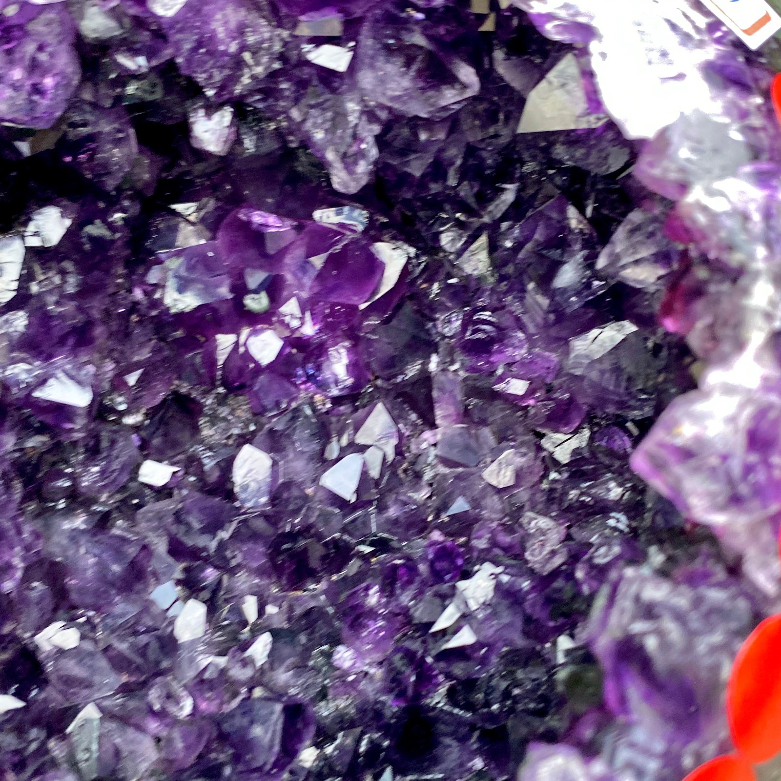 6.59LB High quality Natural Amethyst geode quartz crystal Dinosaur egg healing