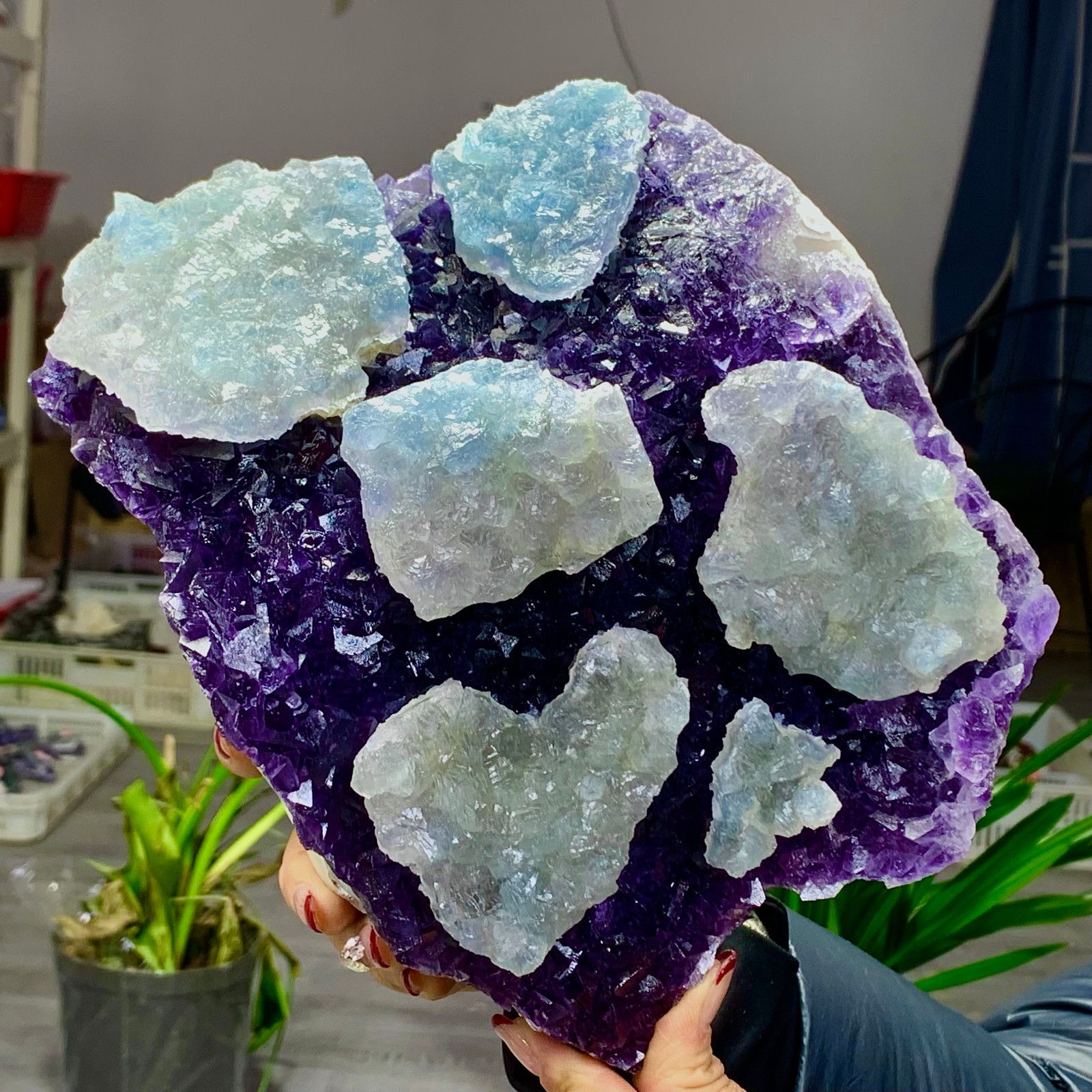 8.6LB Rare Purple Green blue cubic fluorite mineral crystal sample/Zhejiang