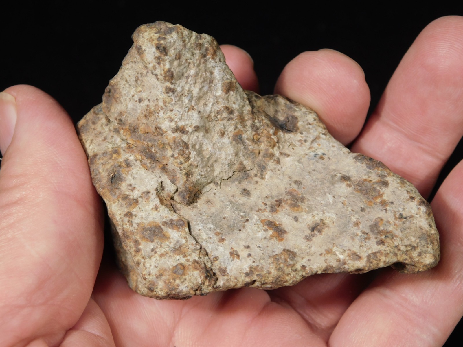 Larger! Classified NWA 8245 METEORITE 100% Natural! Erfoud, Morocco 223gr