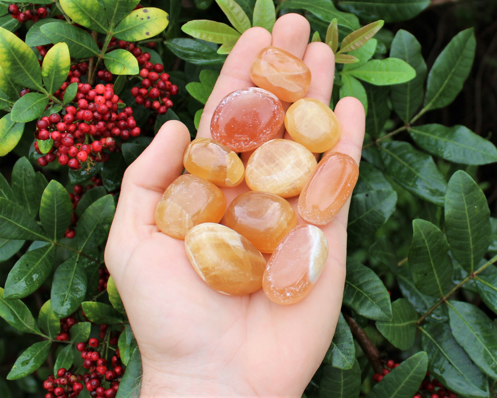Honey Calcite Tumbled Stones: Choose Ounces or lb Bulk Wholesale Lots (A Grade)