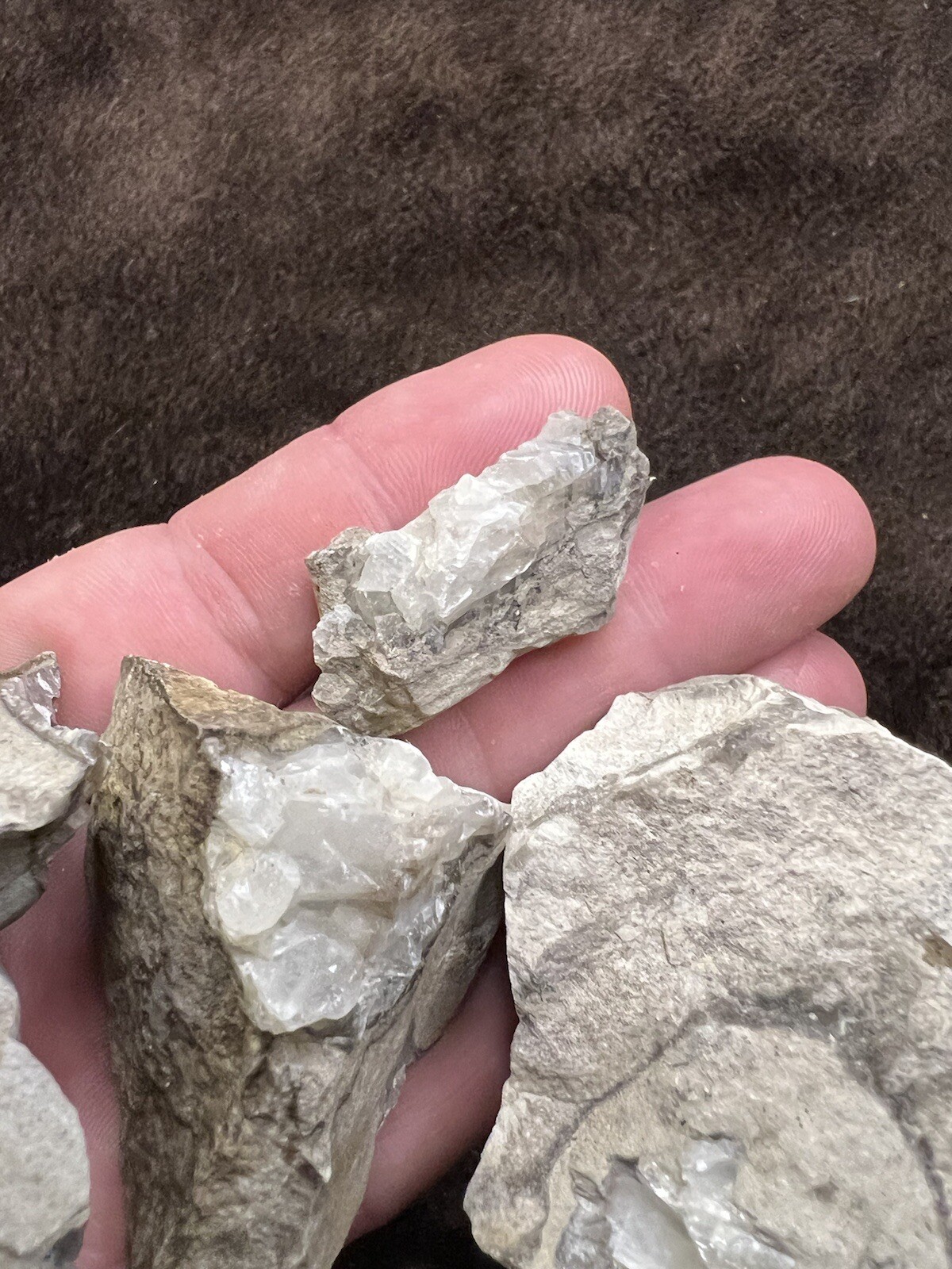 raw natural quartz crystal North East Mississippi Outcrop 5 Pieces