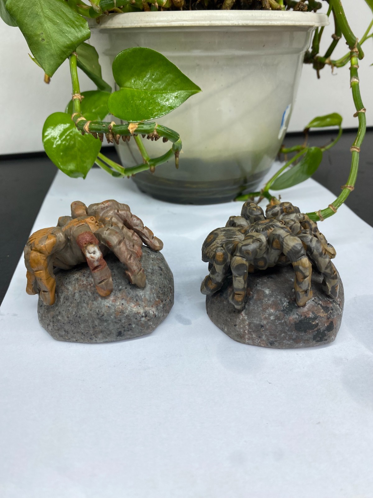 1pc Natural Moneystone Quartz Carved spider skull Crystal reiki healing Decor