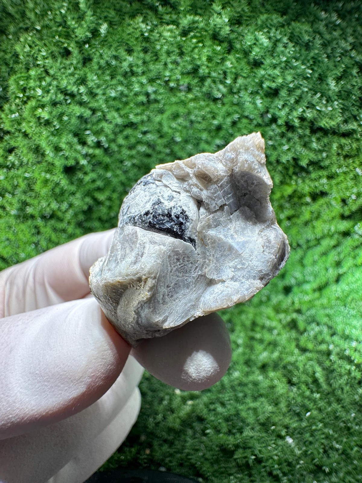 RARE BLACK TOURMALINE – from Vitosha Mountain / N830