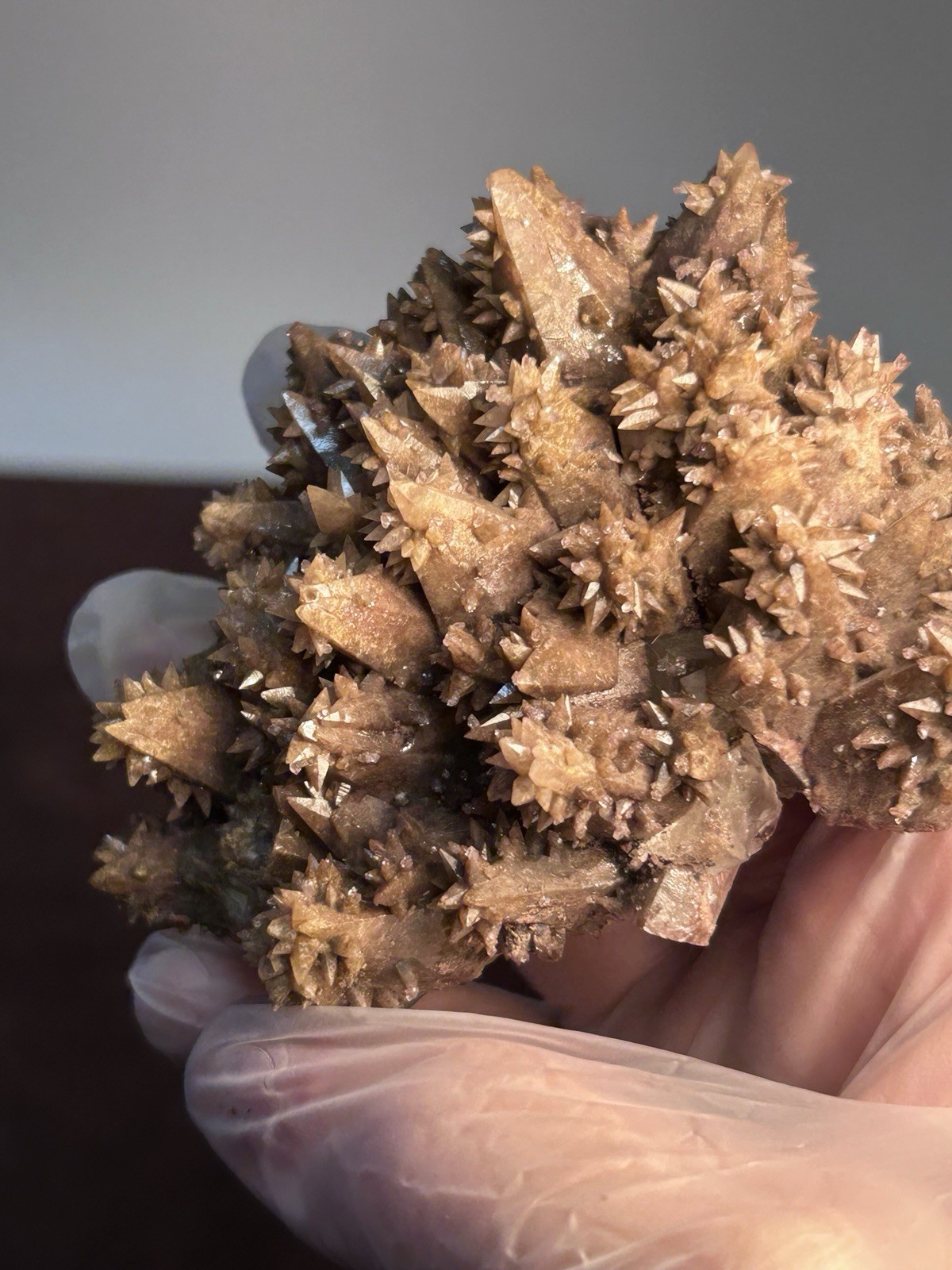 Dogtooth Calcite Cluster Santa Eulalia Mexico Old Labels Cabinet Specimen