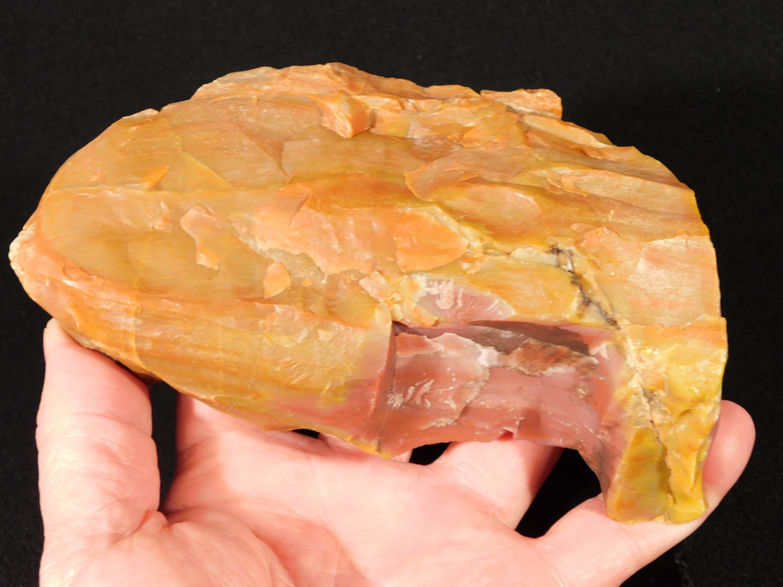 Larger 210 Million Year Old Polished Petrified RAINBOW WOOD Fossil Arizona 750gr