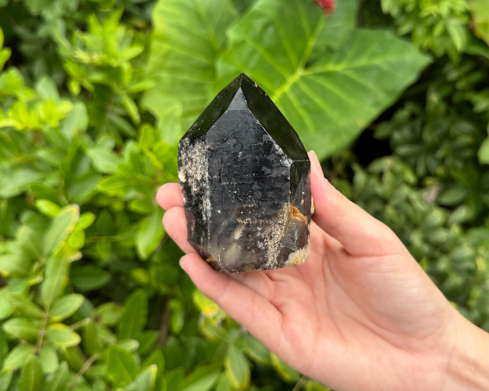LARGE Smokey Quartz Crystal Point with Cut Base – Smoky Quartz Crystal Points