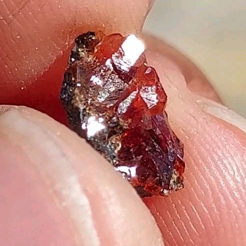 ULTRA RARE GEM RHODOCHROSITE ON MATRIX N’Chwaning I Mine, KMF, South Africa