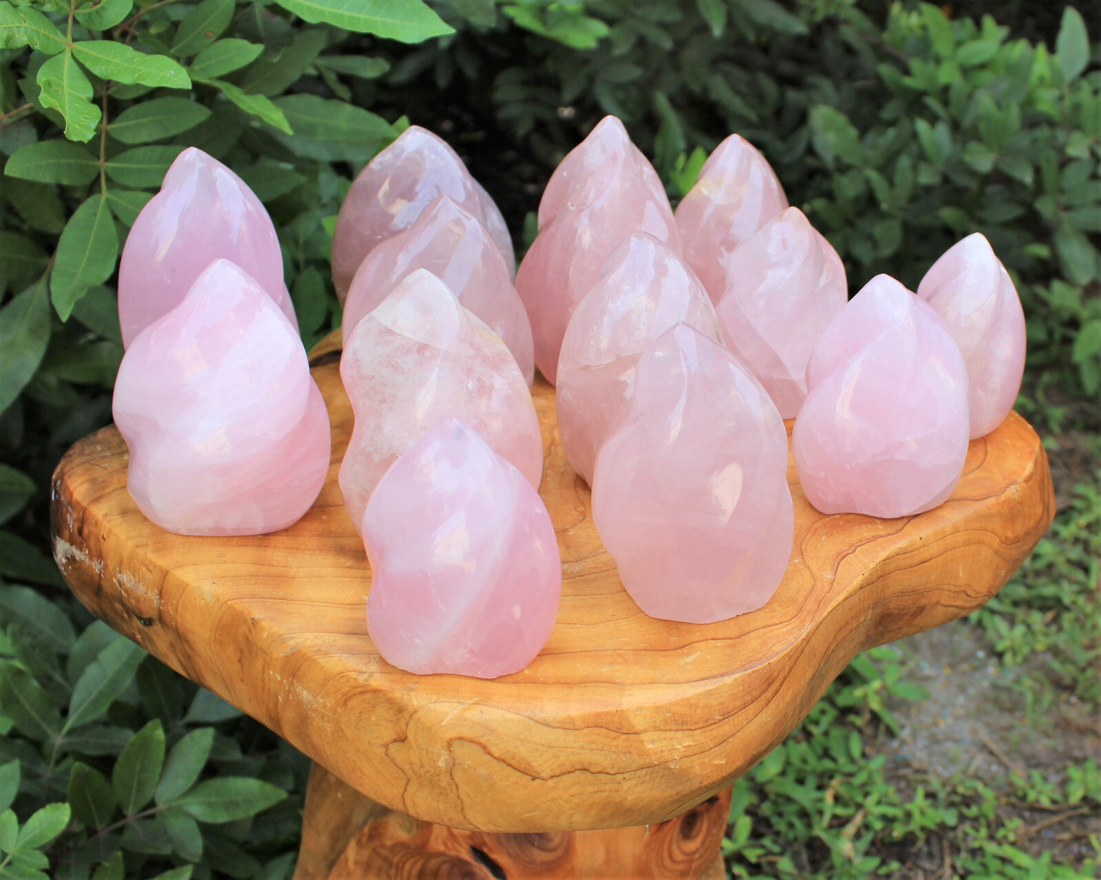 Polished Rose Quartz Crystal Flame – Natural Rose Quartz Flame Cut Base Specimen
