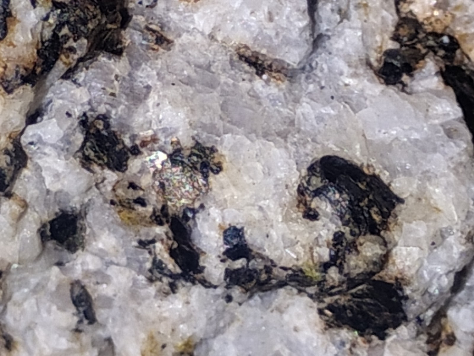 Polymetallic Ore Matrix Quartz, Pyrite & Silver/Black Sulfides – Blue Mountain?