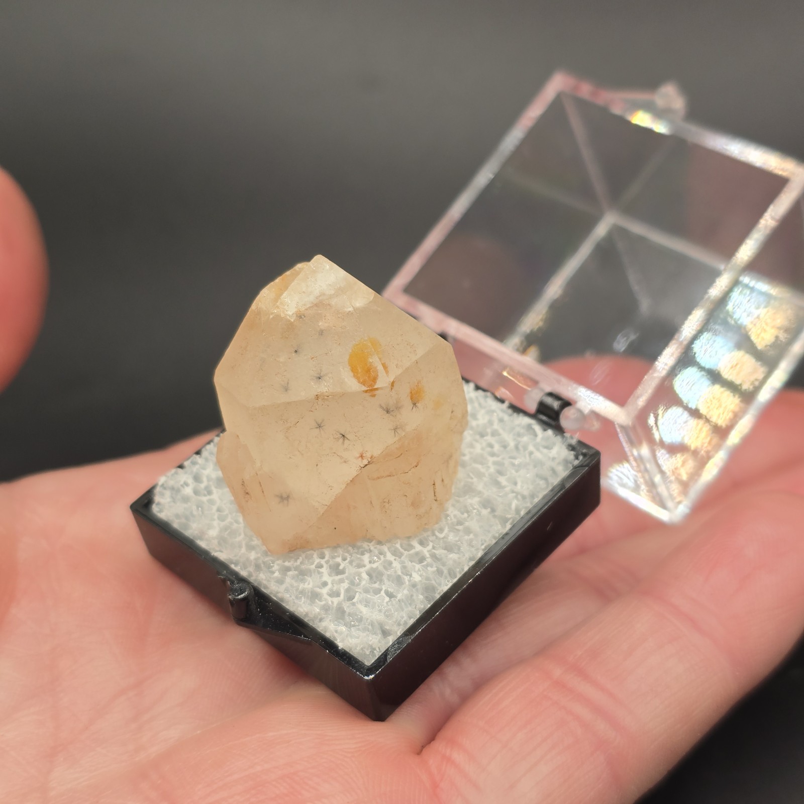 Hollandite Spider Quartz Point Crystal Madagascar Gemstone Specimen in Perky Box